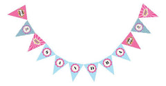 Super Hero Girl Birthday Pennant Banner
