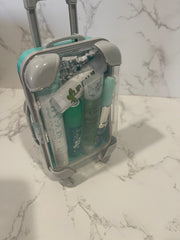 Mint Lipcare Suitcase Box
